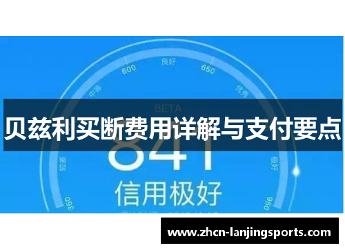 贝兹利买断费用详解与支付要点